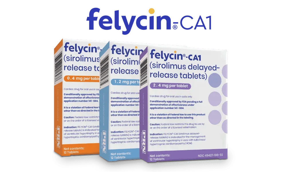 fely-b