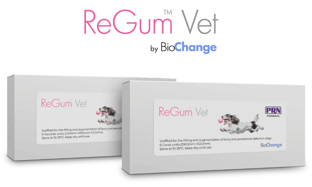 regum-b