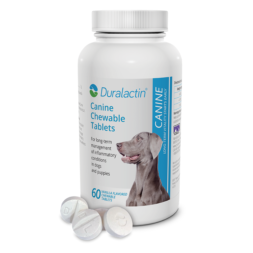 duralactin canine chewable tablets