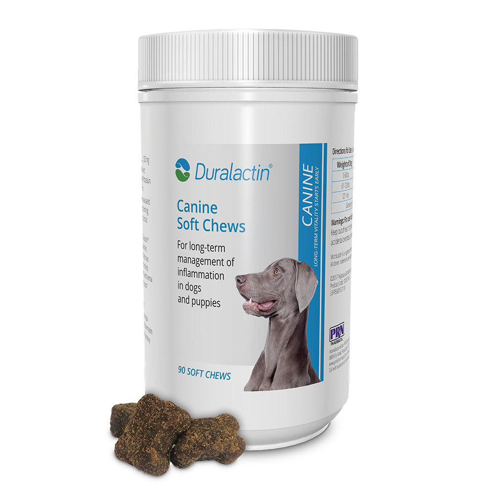 duralactin canine soft chews