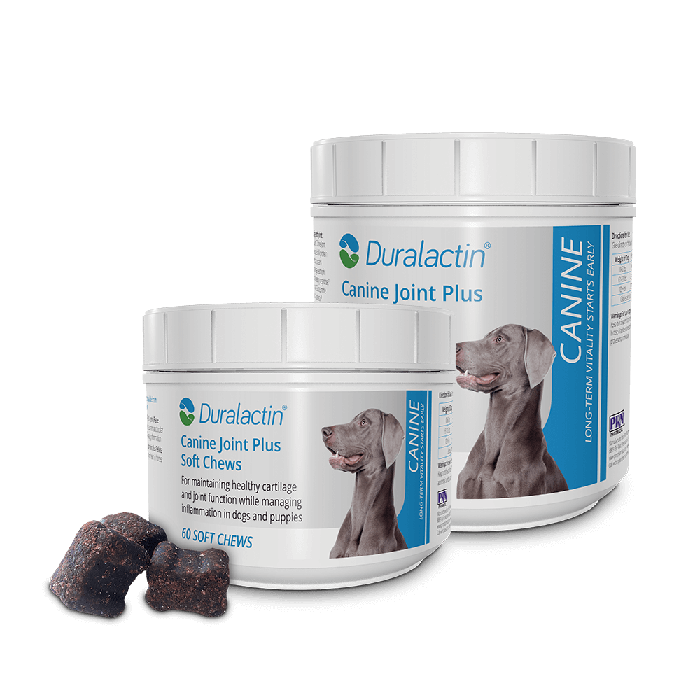 Duralactin® Canine Joint Plus Soft Chews
