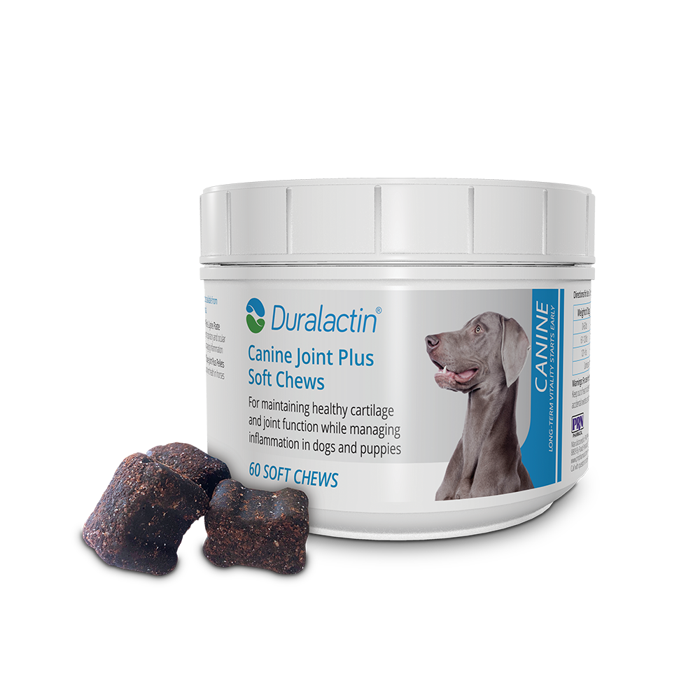 duralactin canine joint plus soft chews