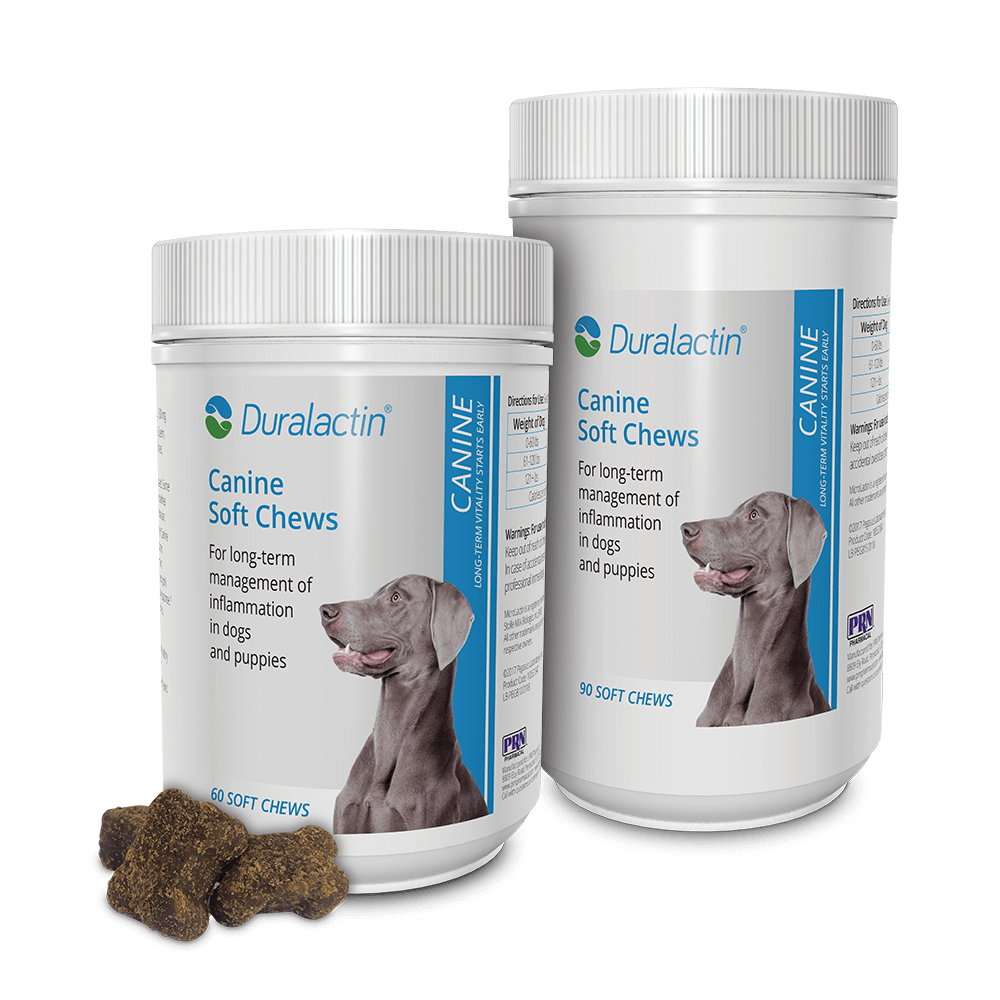 Duralactin® Canine Soft Chews