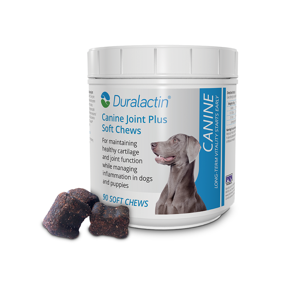 duralactin canine joint plus soft chews