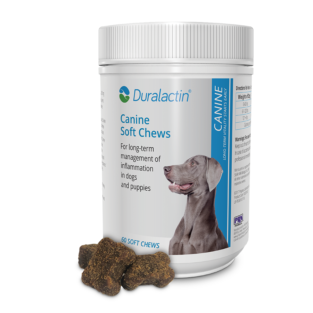 duralactin canine soft chews