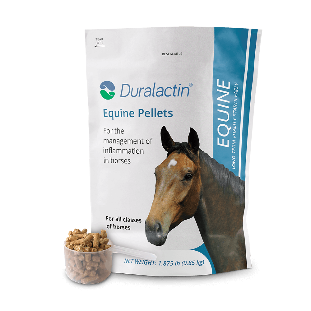 Duralactin® Equine Pellets