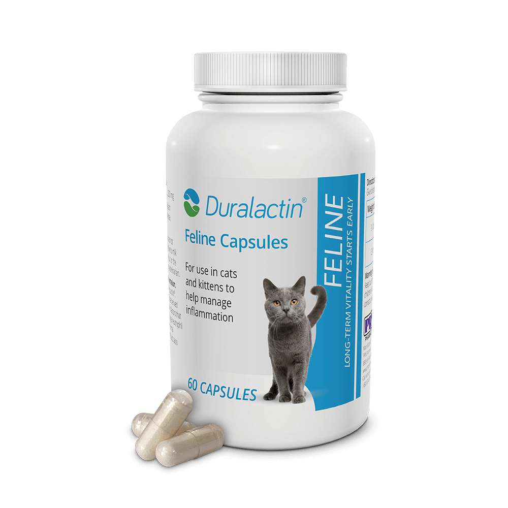 Duralactin® Feline Capsules