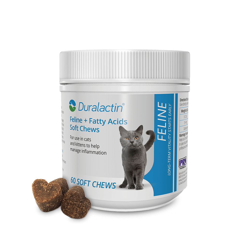 Duralactin® Feline + Fatty Acids Soft Chews
