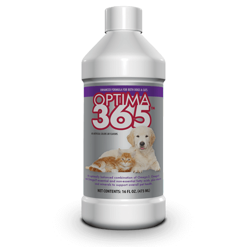 optima 365