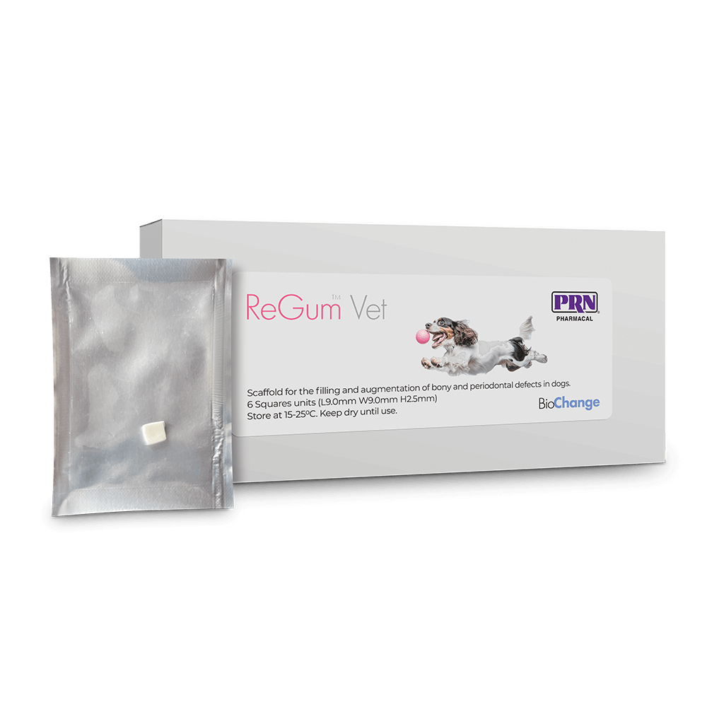 Regum Square Box and FoilPack