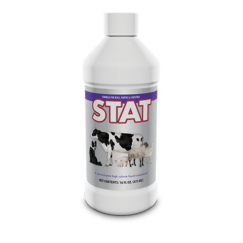 STAT®