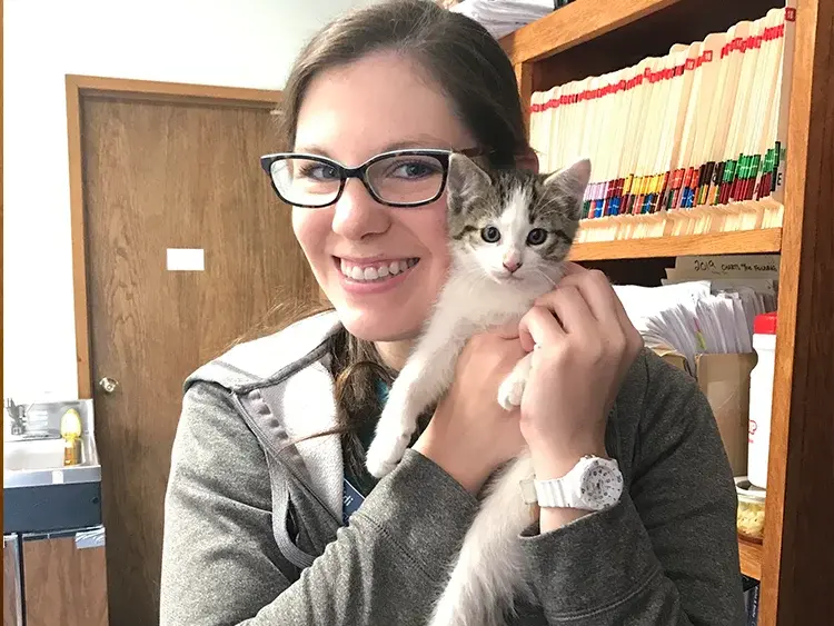 VTA_Hoffman_cat